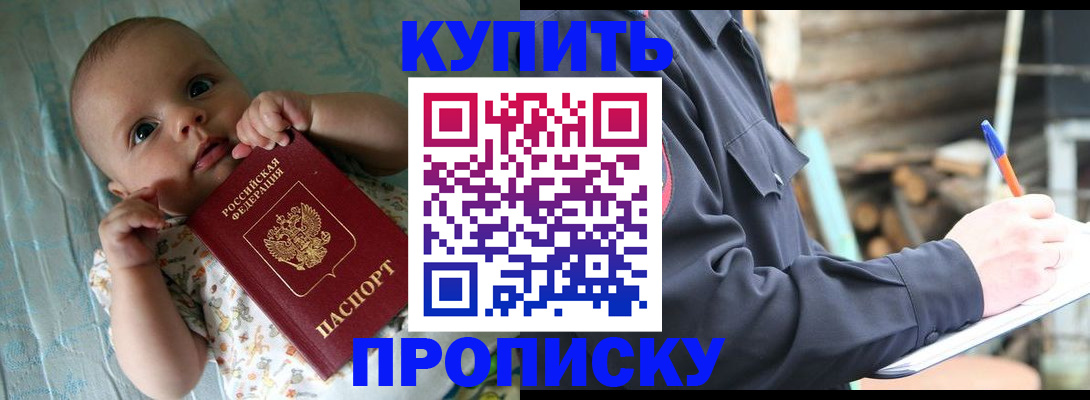 прописка поиск в Камышлове